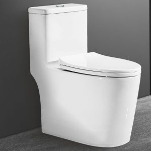 Bồn cầu 1 khối N07