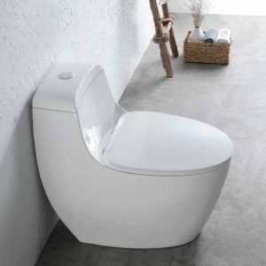 Bồn Cầu Một Khối BALLY