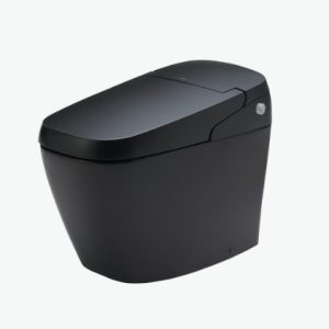 Bồn cầu thông minh AC-L216VN/BKG